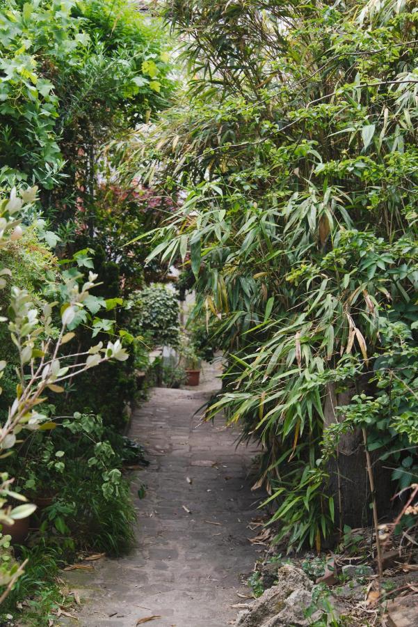 Le Grand Maulnes Bed & Breakfast ปารีส ภายนอก รูปภาพ